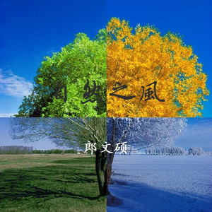 高清金八天国欧美成人
